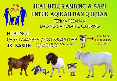 harga hewan kurban